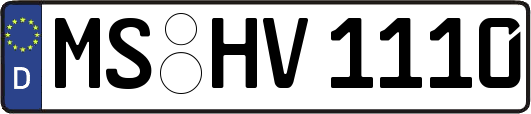 MS-HV1110