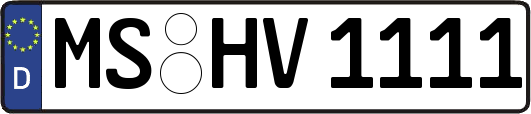 MS-HV1111