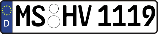 MS-HV1119