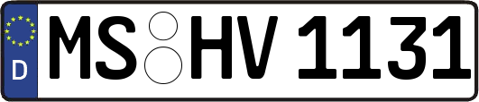 MS-HV1131