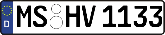 MS-HV1133