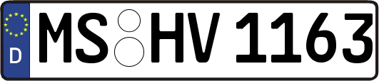 MS-HV1163