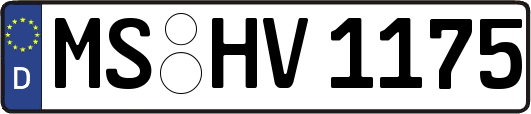 MS-HV1175