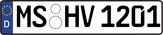 MS-HV1201