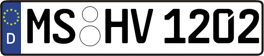 MS-HV1202