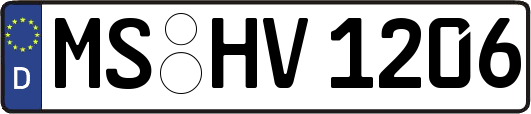 MS-HV1206