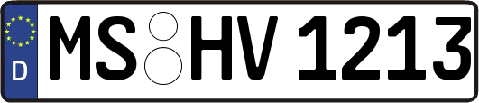 MS-HV1213
