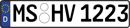 MS-HV1223