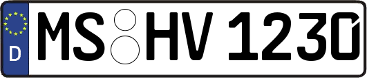 MS-HV1230