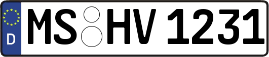 MS-HV1231