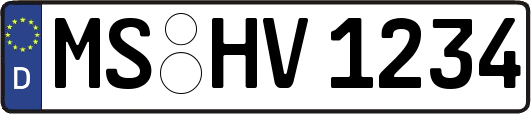 MS-HV1234