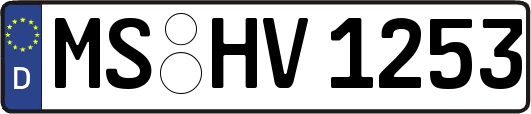 MS-HV1253