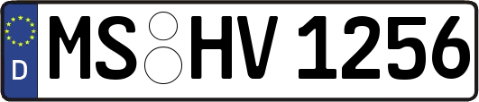 MS-HV1256