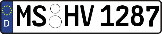 MS-HV1287