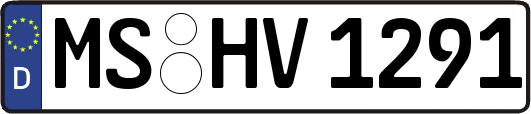 MS-HV1291