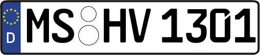 MS-HV1301