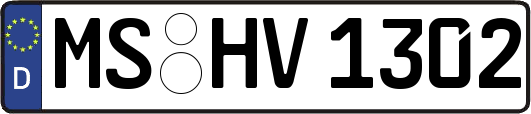 MS-HV1302