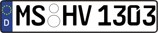 MS-HV1303