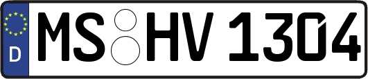 MS-HV1304