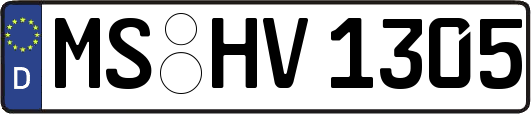MS-HV1305