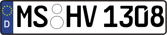 MS-HV1308