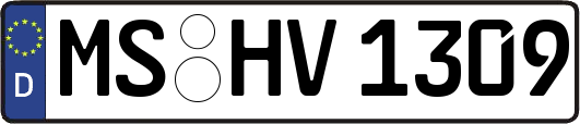 MS-HV1309