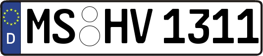 MS-HV1311