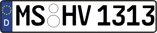 MS-HV1313