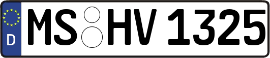MS-HV1325