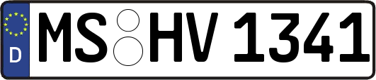 MS-HV1341