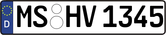 MS-HV1345