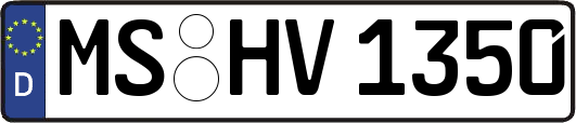 MS-HV1350