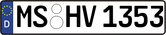MS-HV1353
