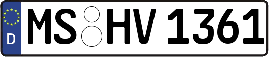 MS-HV1361