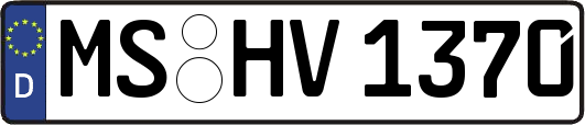 MS-HV1370