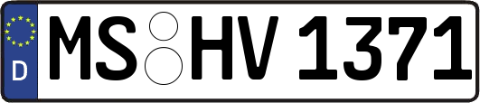 MS-HV1371