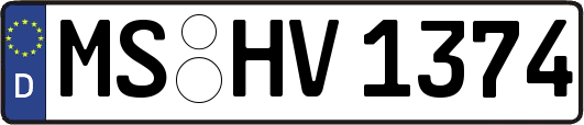 MS-HV1374