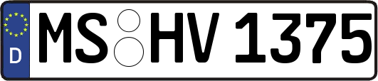 MS-HV1375