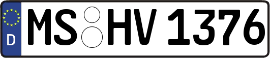 MS-HV1376