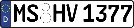 MS-HV1377