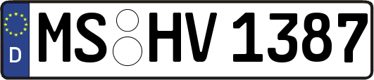MS-HV1387