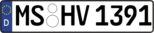MS-HV1391