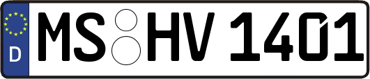 MS-HV1401