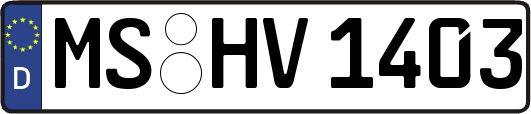 MS-HV1403
