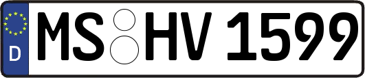 MS-HV1599