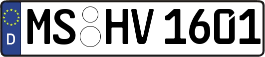 MS-HV1601