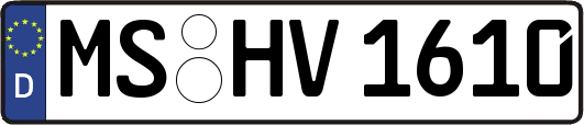 MS-HV1610