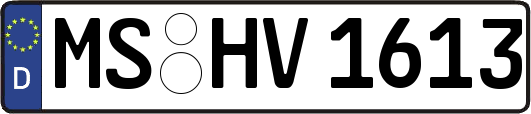 MS-HV1613
