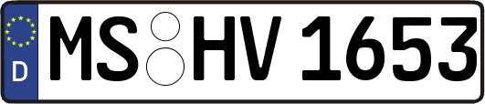MS-HV1653