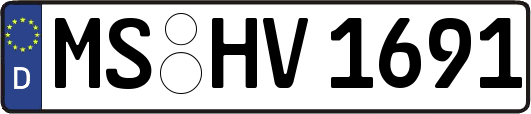MS-HV1691